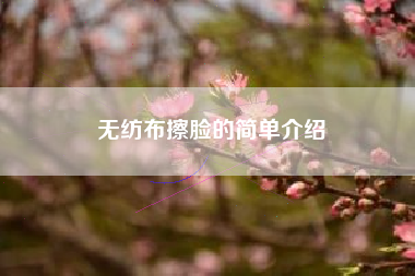 无纺布擦脸的简单介绍