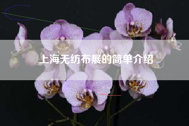 上海无纺布展的简单介绍