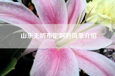 山东无纺布定制的简单介绍