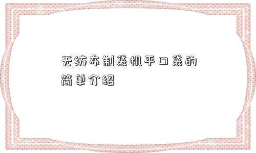 无纺布制袋机平口袋的简单介绍