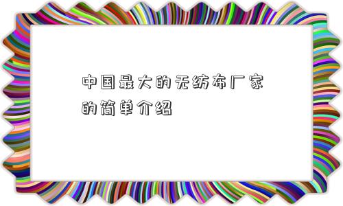 中国更大的无纺布厂家的简单介绍