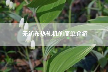 无纺布热轧机的简单介绍