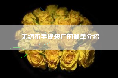 无纺布手提袋厂的简单介绍