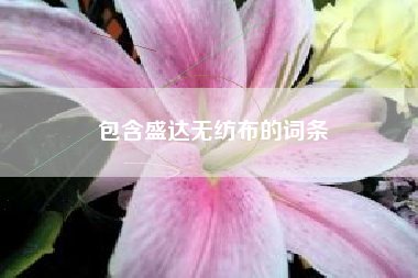 包含盛达无纺布的词条