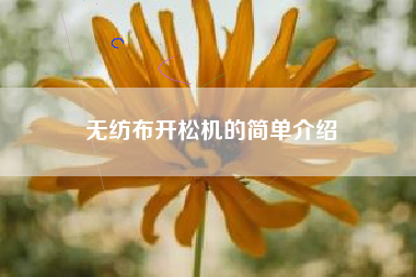 无纺布开松机的简单介绍