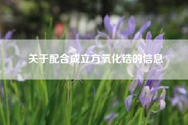 关于配合成立方氧化锆的信息