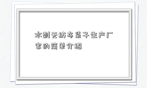 水刺无纺布袋子生产厂家的简单介绍 水刺无纺布袋子生产厂家的简单介绍
