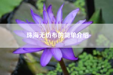 珠海无纺布的简单介绍