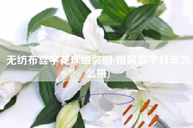 无纺布喜字花球组装图(婚房喜字灯笼怎么拼)