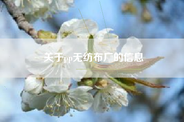 关于pp无纺布厂的信息