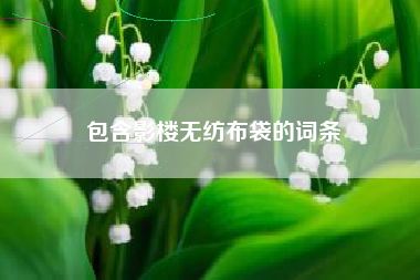 包含影楼无纺布袋的词条