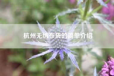 杭州无纺布袋的简单介绍