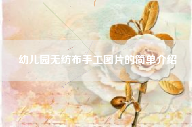 幼儿园无纺布手工图片的简单介绍