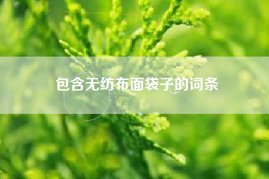 包含无纺布面袋子的词条