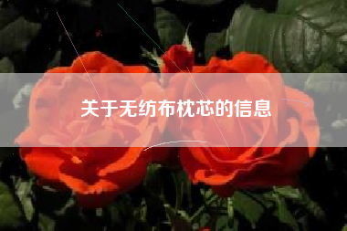 关于无纺布枕芯的信息