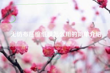 无纺布压缩纸膜怎么用的简单介绍
