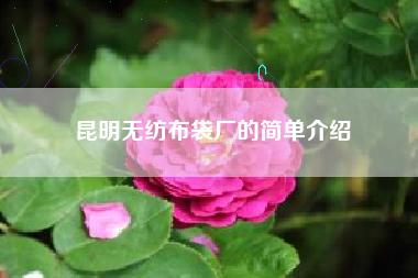 昆明无纺布袋厂的简单介绍