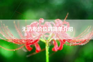无纺布价位的简单介绍
