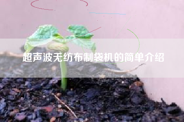 超声波无纺布制袋机的简单介绍 超声波无纺布制袋机的简单介绍