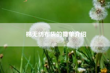 棉无纺布袋的简单介绍