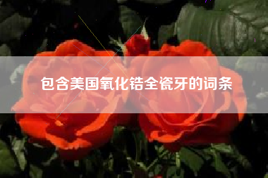 包含美国氧化锆全瓷牙的词条