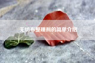 无纺布整理剂的简单介绍