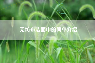 无纺布洁面巾的简单介绍