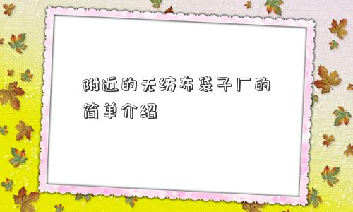 附近的无纺布袋子厂的简单介绍