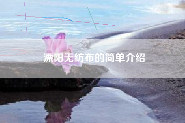 溧阳无纺布的简单介绍
