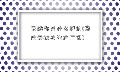 无纺布是什么样的(廊坊无纺布生产厂家)