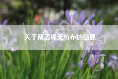 关于聚乙烯无纺布的信息