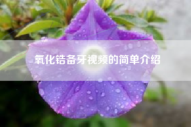 氧化锆备牙视频的简单介绍