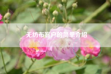 无纺布客户的简单介绍