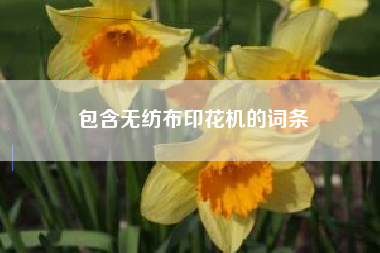 包含无纺布印花机的词条