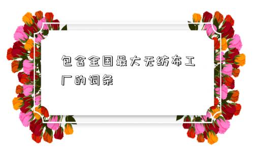 包含全国更大无纺布工厂的词条