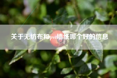关于无纺布和pvc墙纸哪个好的信息