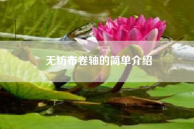 无纺布卷轴的简单介绍