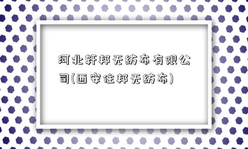 河北轩邦无纺布有限公司(西安住邦无纺布)