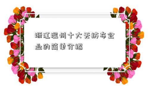 浙江温州十大无纺布企业的简单介绍