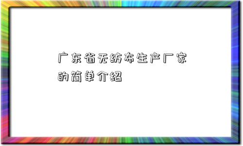 广东省无纺布生产厂家的简单介绍