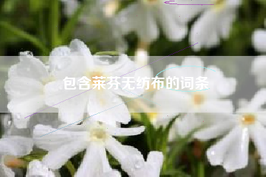 包含莱芬无纺布的词条