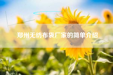郑州无纺布袋厂家的简单介绍