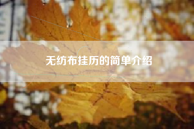 无纺布挂历的简单介绍