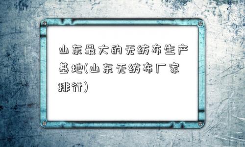 山东更大的无纺布生产基地(山东无纺布厂家排行)