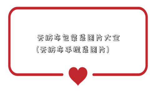 无纺布包装袋图片大全(无纺布手提袋图片)