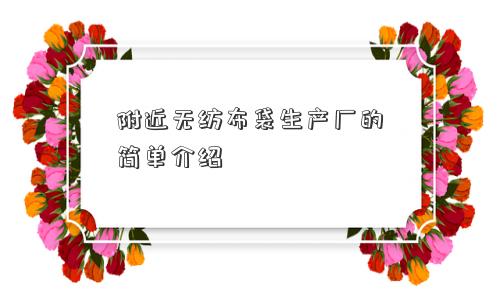 附近无纺布袋生产厂的简单介绍