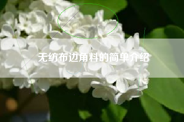 无纺布边角料的简单介绍