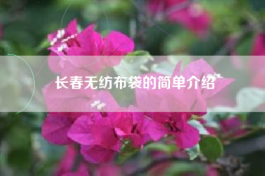 长春无纺布袋的简单介绍