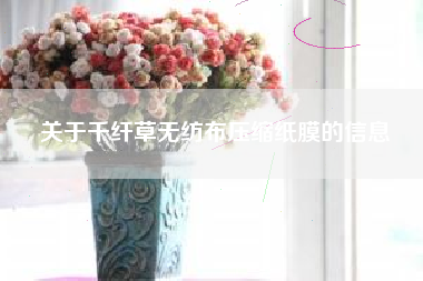 关于千纤草无纺布压缩纸膜的信息