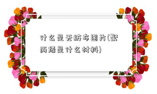 什么是无纺布图片(聚丙烯是什么材料)